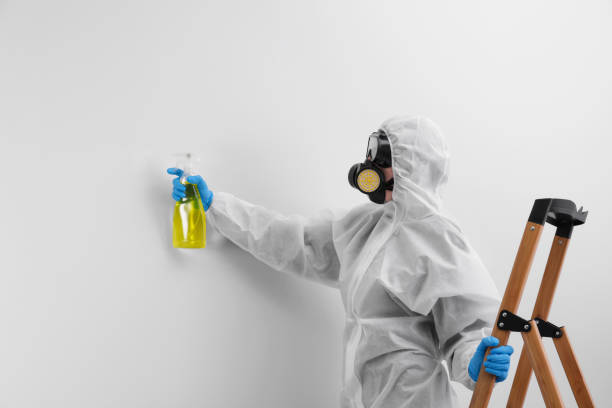 Why You Should Choose Our Mold Remediation Services in West Allis, WI